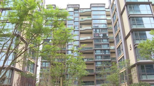 楚雄市出臺(tái) 十二條措施 促進(jìn)房地產(chǎn)市場(chǎng)平穩(wěn)健康發(fā)展