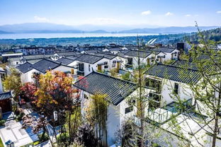 喜訊 實力集團(tuán)實力 小院子度假村榮獲 2019中國房地產(chǎn)優(yōu)秀原創(chuàng)產(chǎn)品品牌 殊榮