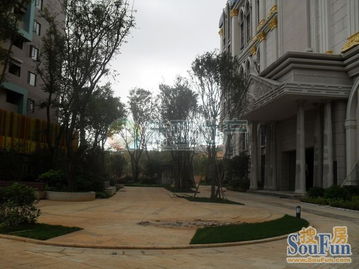 新亞100 真房源,南亞未來(lái)城精裝修,采光戶型一流,價(jià)格便宜 房產(chǎn)頻道 云南信息網(wǎng)