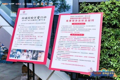 長(zhǎng)期代理銷(xiāo)售伯納天純 正品保障，天天優(yōu)惠，接單即發(fā)
